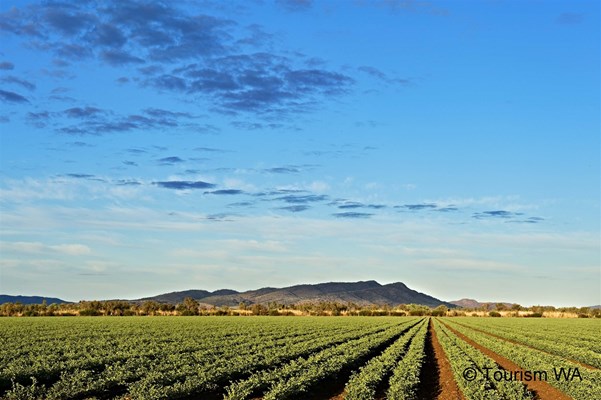 An Award Winning Location - Tourism Western Australia Crop located