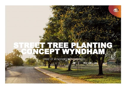 Consultation Image: Street Tree Planting Concept Wyndham