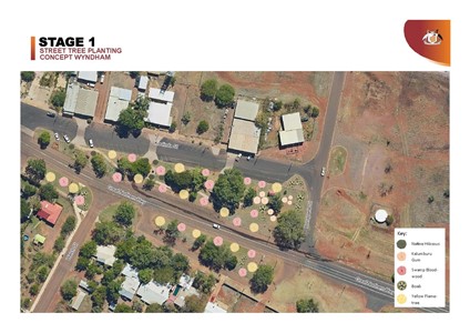 Consultation Image: Stage 1 - part 1: Street Tree Planting Concept