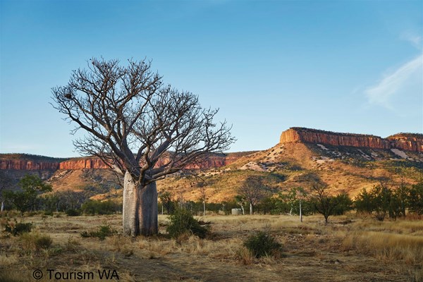An Award Winning Location - Tourism Western Australia Cockburn