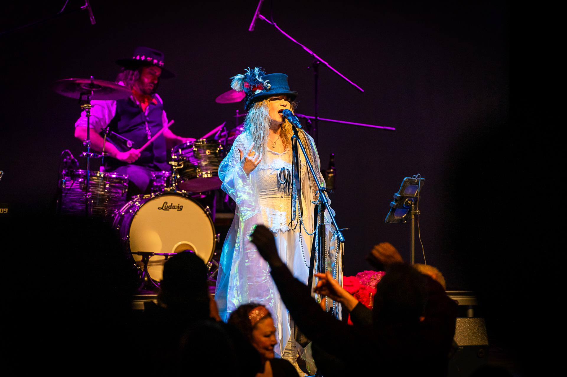 FLEETWOOD MAC & The EAGLES by Landslide