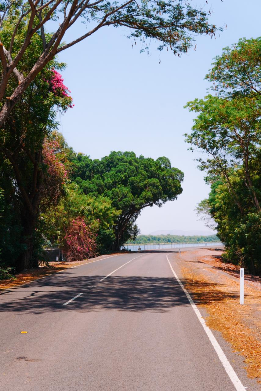 Project Update: Lakeview Drive