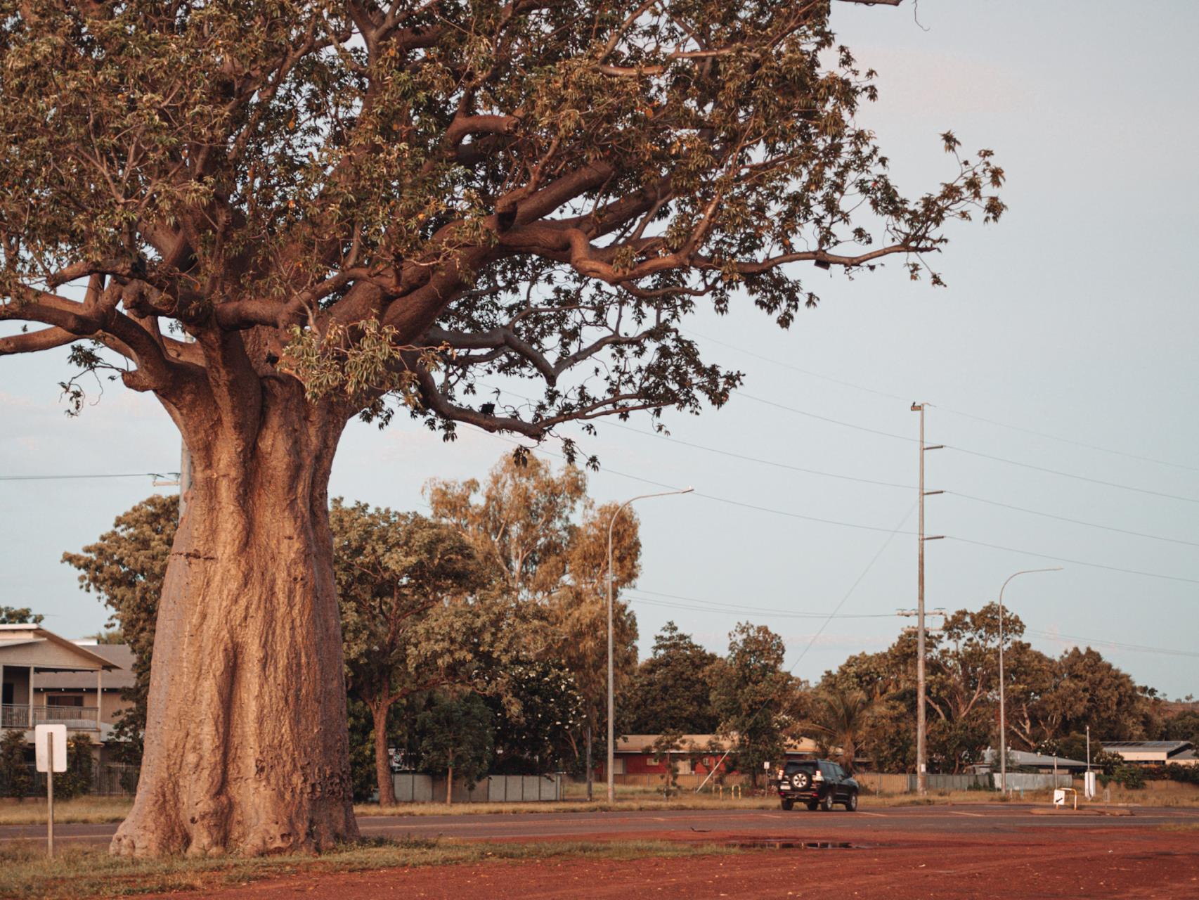 Annual General Meeting of Electors